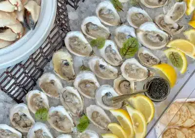 Oysters on Raw Bar Oysters on Raw Bar